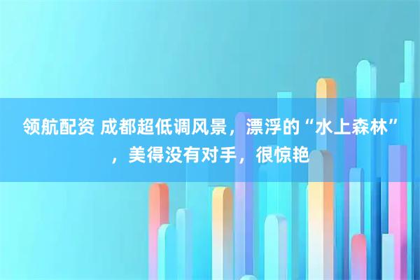 领航配资 成都超低调风景，漂浮的“水上森林”，美得没有对手，很惊艳