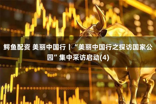 鳄鱼配资 美丽中国行丨“美丽中国行之探访国家公园”集中采访启动(4)