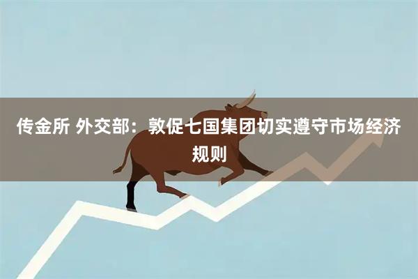 传金所 外交部：敦促七国集团切实遵守市场经济规则