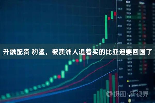 升融配资 豹鲨，被澳洲人追着买的比亚迪要回国了